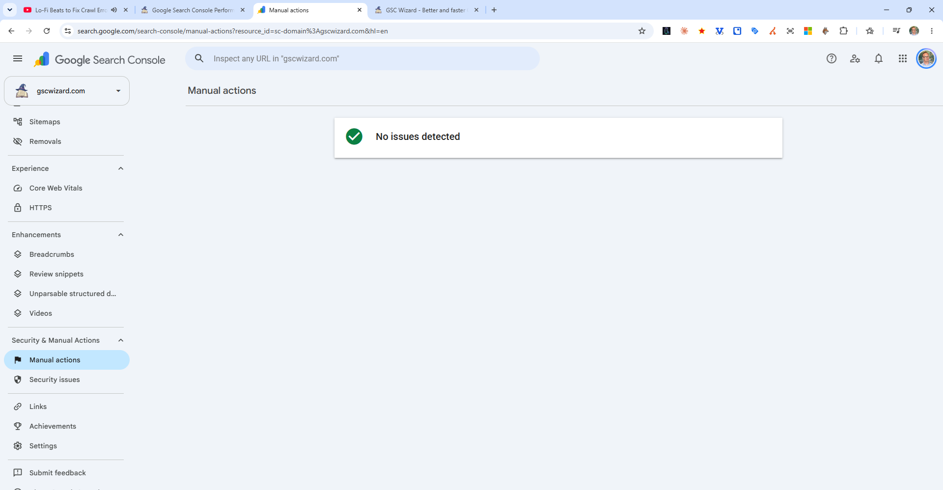 The Google Search Console manual actions report showing no penalties, with the categories a human reviewer can apply listed